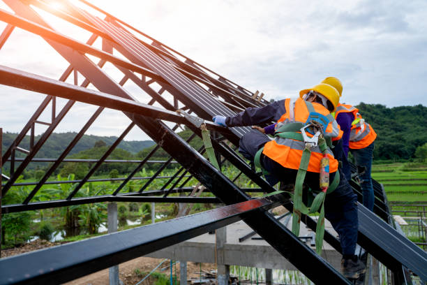 Best Roof Gutter Cleaning  in Buchanan, GA