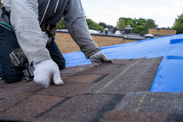 Best Roof Leak Repair  in Buchanan, GA