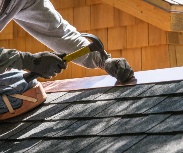 Best Gutter Installation and Roofing  in Buchanan, GA